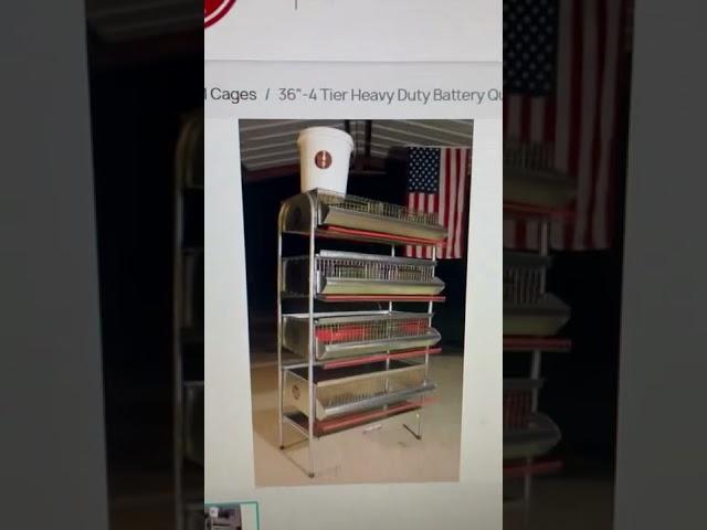 Which Multi Level Quail Cages Should I Buy