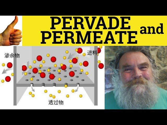  Pervade and Permeate - Pervade Meaning - Permeate Examples - Pervasive Definition