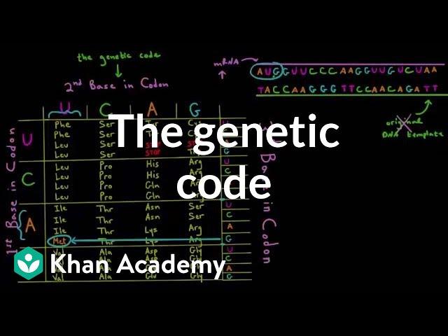 The genetic code