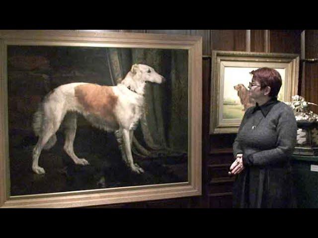 The Kennel Club Gallery