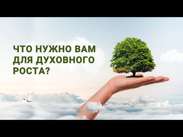 Что нужно Вам для духовного роста? – епископ Василий Витюк на IGNC
