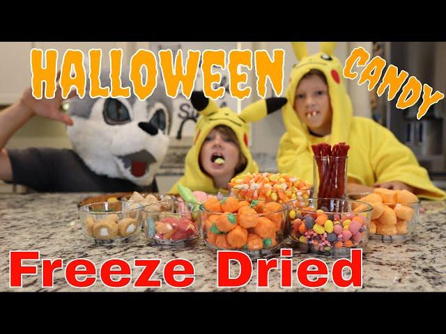 Halloween Candy Freeze Dried// Candy Corn, Laffy Taffy, Twizzlers, Bit O Honey, Sweet Tarts