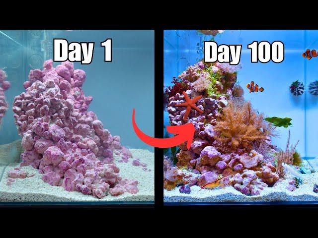 I MADE A NANO REEF TANK FOR CLOWNFISH! Easy Step by Step Tutorial