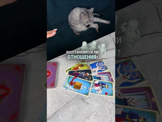 ВОССТАНОВЯТСЯ ЛИ ОТНОШЕНИЯ? таро расклад