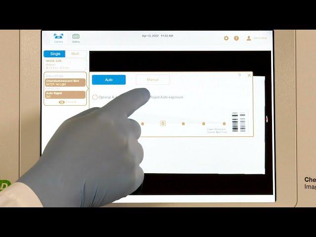 Quick Tips: Auto-Exposure Settings for Western Blot Imaging in Image Lab Touch Software