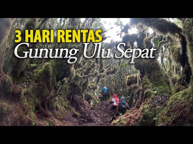 3 Hari Rentas Gunung Ulu Sepat, Kenapa Orang Sanggup ke Sini? Camping Hiking, Terserempak Panther