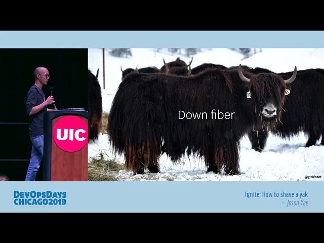 DevOpsDays Chicago 2019 - Jason Yee - How to shave a yak