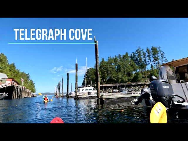 Kayaking and whales at telegraph cove | Vancouver Island