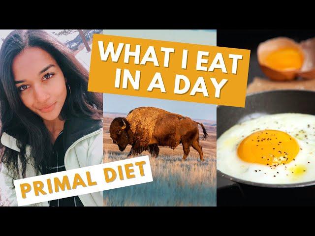 ANIMAL-BASED PRIMAL DIET // WHAT I EAT IN A DAY