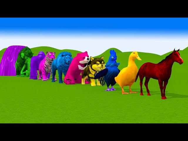 Paint & Animals Duck,Horse,Cow,Elephent,Cat,Bear Fountain Crossing Transformation Animal Cartoon