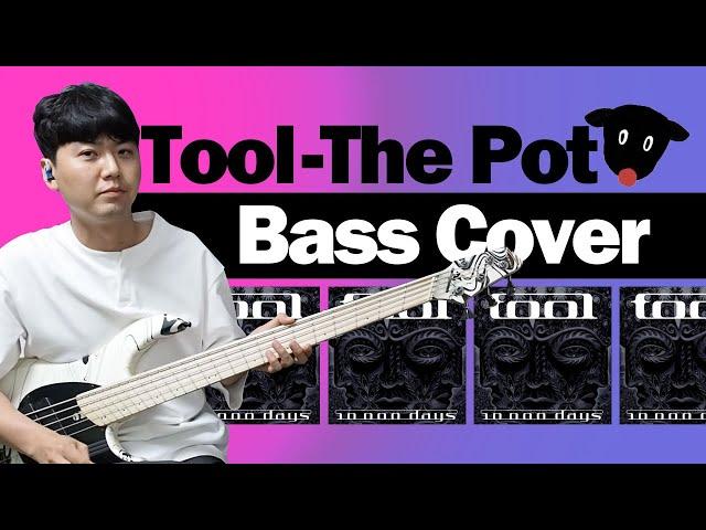 Tool - The Pot Bass Cover -손록손록tv-