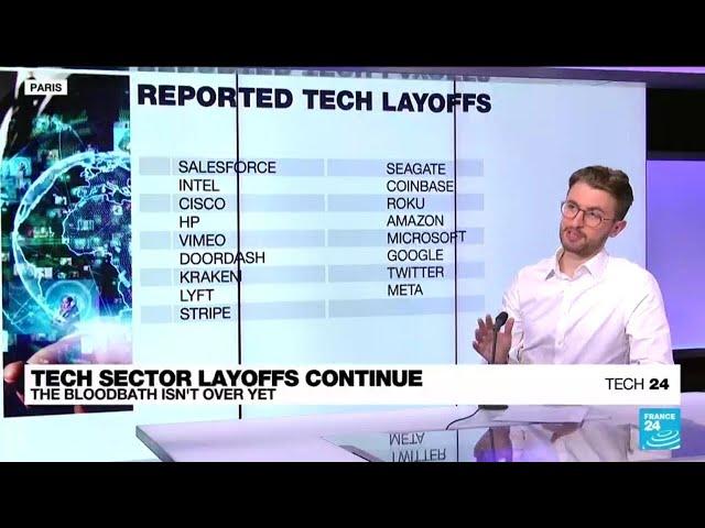 Bloodbath of layoffs in tech sector continues into 2023 • FRANCE 24 English