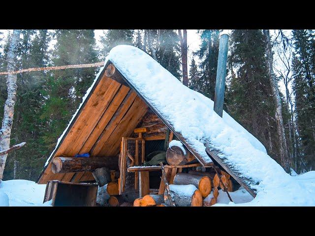 I SPENT THE NIGHT IN A TINY LOG CABIN. INSTALLING WOODEN TRAPS ON A WOLVERINE.