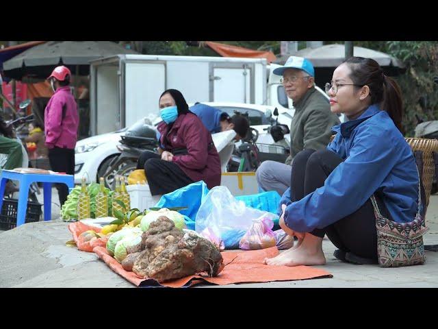 FULL: 60 Days of harvesting ki ma pears from green to ripe to go to the market to sell and cooking