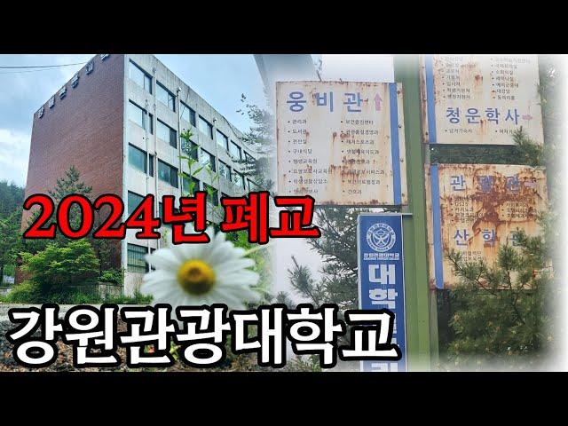 2024년 올해 폐교된 강원관광대학교의 현재모습은?