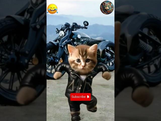 Try not to laugh, cat funny bike reaching dance  #aicat #dancingcat #shorts