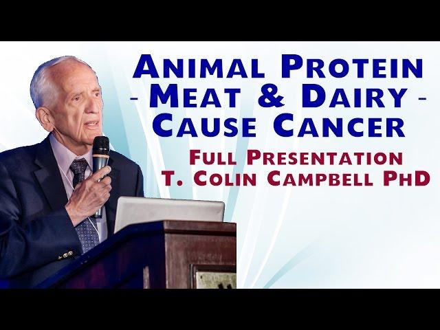 Animal Protein -- Meat and Dairy -- Cause Cancer