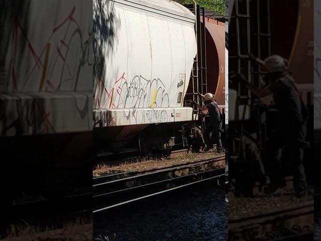 how to catch hoppers on the fly (hopping freight trains 101)