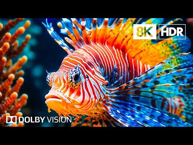 Undersea Kingdom in 8K HDR | Dolby Vision™