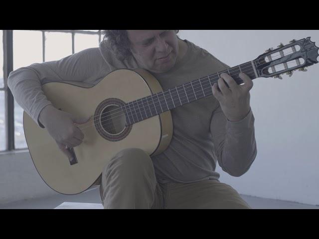 Altamira N300F Flamenco Guitar | Product Demonstration