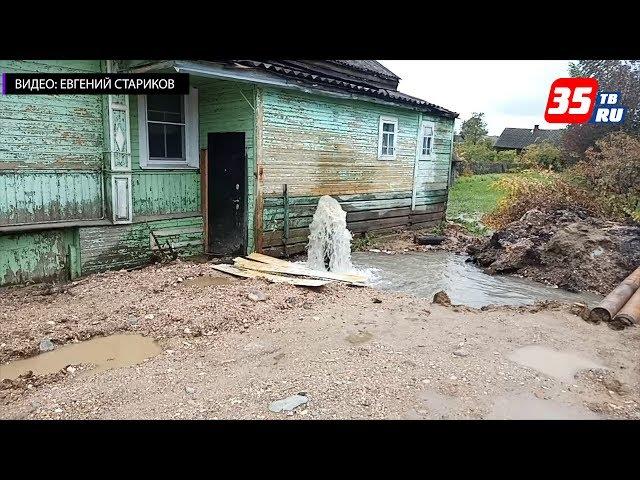 Из-за жительницы Ленинградской области в Белозерске объявлен режим ЧС