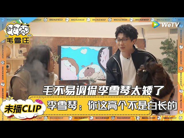 【2025未播CLIP】毛不易调侃李雪琴太矮了！李雪琴：我不像你，这么大高个！ |《毛雪汪2025年春日》 #综艺 #毛雪汪 #李雪琴 #毛不易 #张彬彬 #毛晓彤