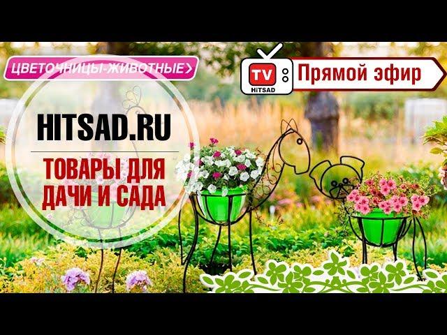 Товары для дачи и сада  Интернет магазин hitsad.ru