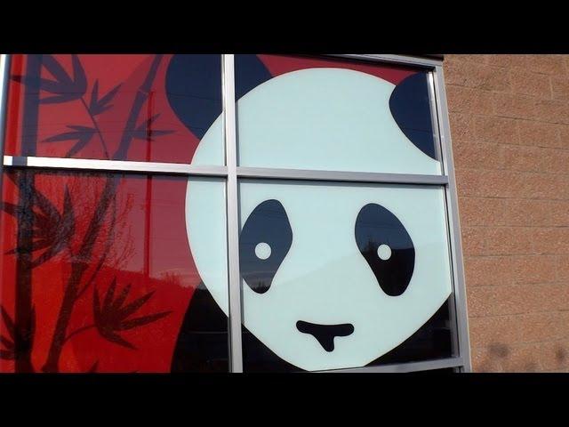 Pirillo #Vlog 359 - What Does Panda Taste Like?