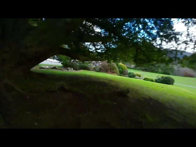 DJI Avata flights around Tollymore Forest