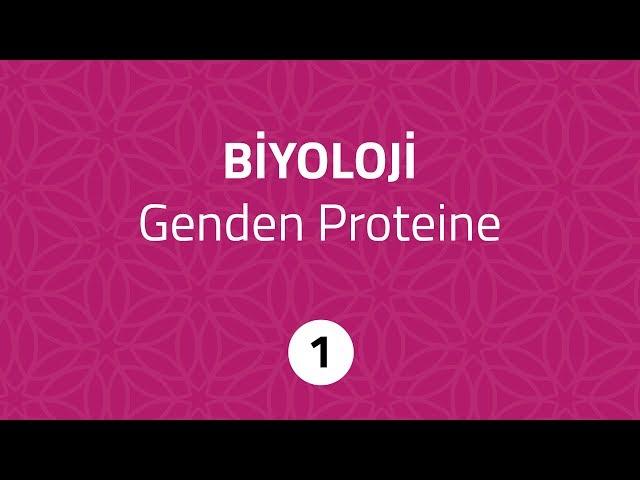 TUNAFEN Biyoloji - Genden Proteine 1