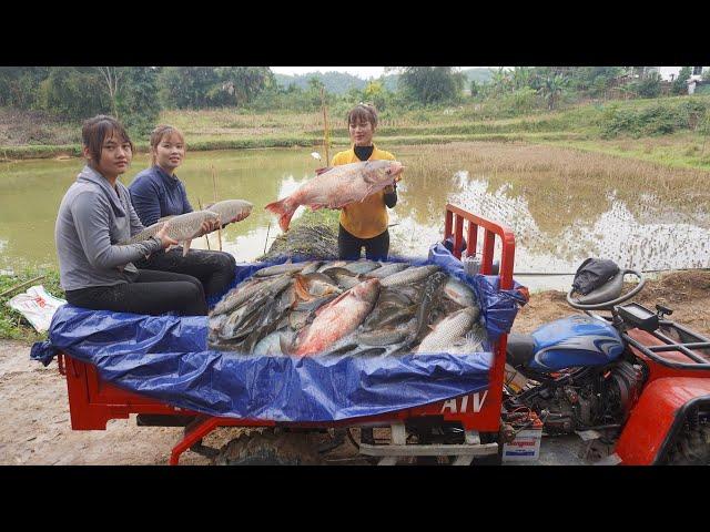 Use 4-wheeled Truck Off-road vehicle harvest fish and travel 50km to sell - Catch many fish