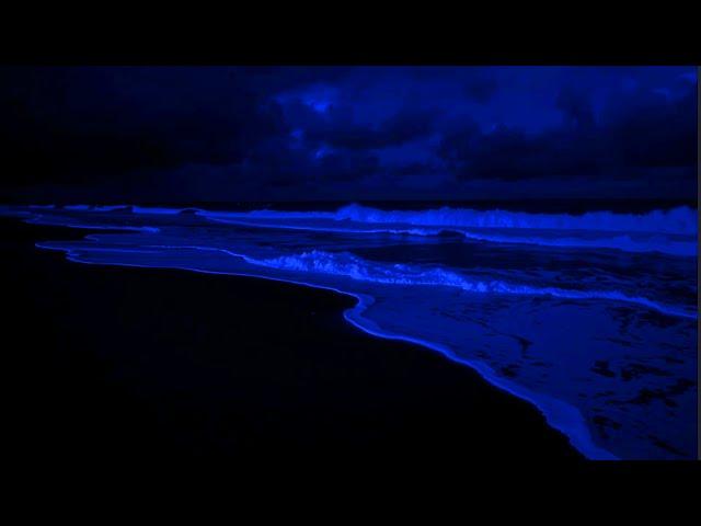  Ocean Dreams at Night | Sleep Sounds of Waves for Relaxation, Study Focus, or Peace of Mind