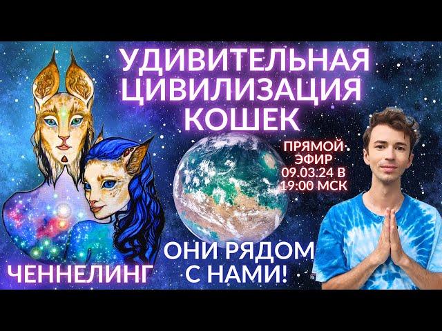 ‍️ РАЗУМНЫЕ КОШКИ ИНОПЛАНЕТЯНЕ СУЩЕСТВУЮТ! ДРЕВНИЙ ЕГИПЕТ ЛИРИАНЦЫ БАСТЕД ЧЕННЕЛИНГ ФИДРЯ ЮРИЙ