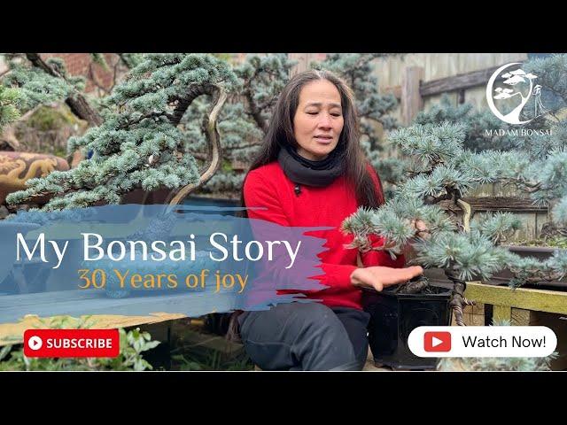 Madam Bonsai  How I got started in Bonsai