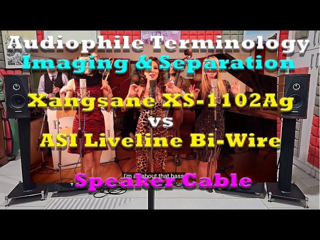 Audiophile Terminology 01 : Imaging & Separation (All About That Bass)