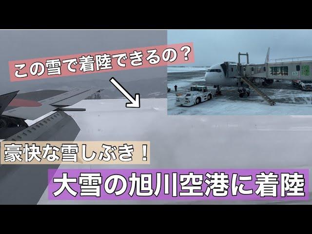 【圧巻の雪しぶき！】JAL機が大雪の旭川空港に着陸！