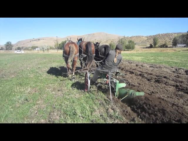 Plowing with Horses Three Abreast