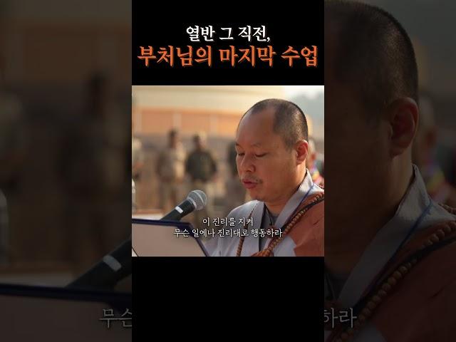 열반 그 직전, 부처님의 마지막 수업 #상월결사인도순례 #부처님 #열반