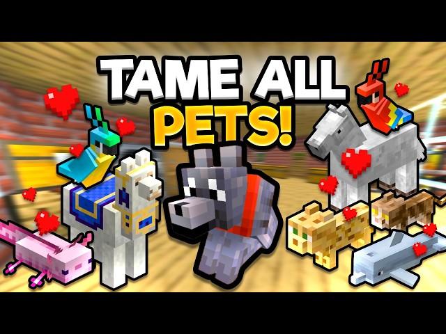 Ultimate Guide To PETS In 1.21: How To Catch & Tame Them All