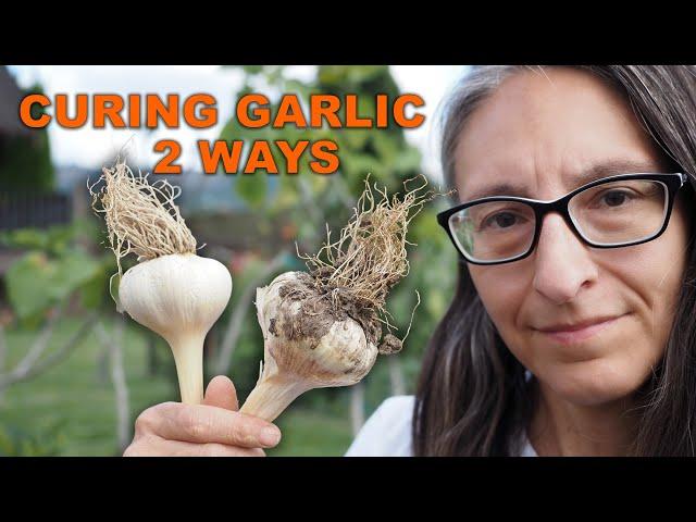 Do you peel garlic before curing?