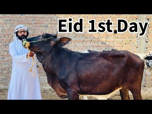 Eid 1st Day Vlog | Yala Habibi  | Eid Mubarik  | Yasir Riaz Vlog