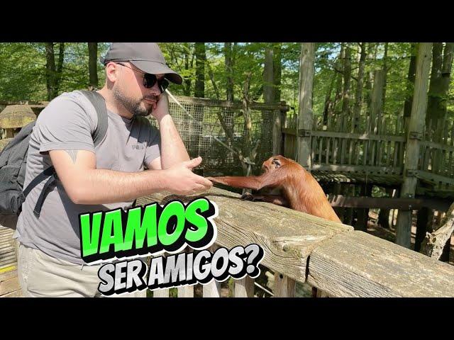 VAMOS SER AMIGOS? Короткометражный фильм для тренировки португальского языка