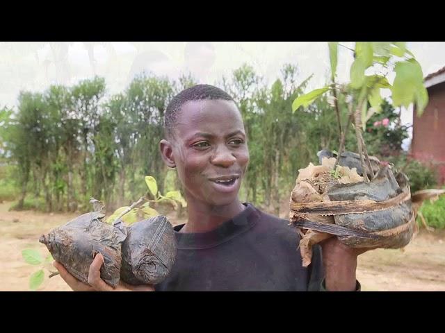 11 THOUSANDS FRUIT TREES PLANTED TO FIGHT MALNUTRUTION IN NGORORERO BY MINIYOUTH