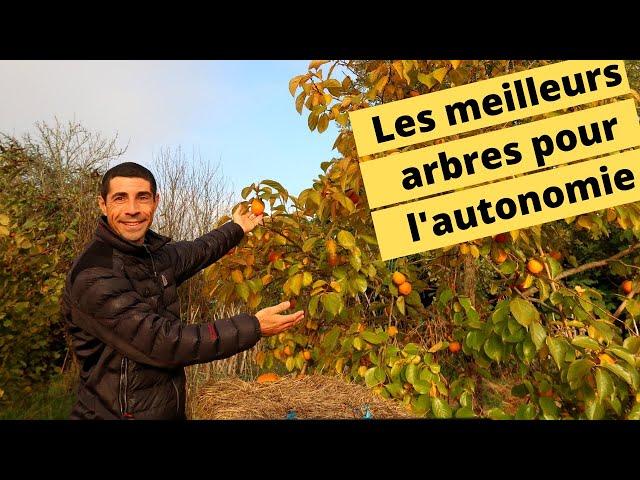 Les meilleurs arbres fruitiers pour l'autonomie