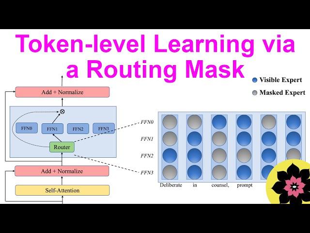 MaskMoE: Forcing rare tokens to only use one expert