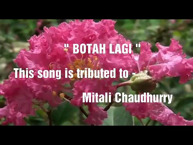 Botah Lagi || Mitali Chaudharry || Prasanta Bordoloi || Rizwan Yasin#youtube#assamese