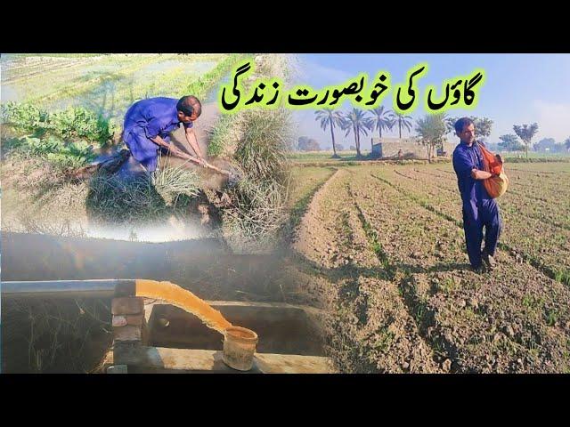 Unseen Beautiful Village Life in Pakistan | Beautiful Old Culture of Pakistan