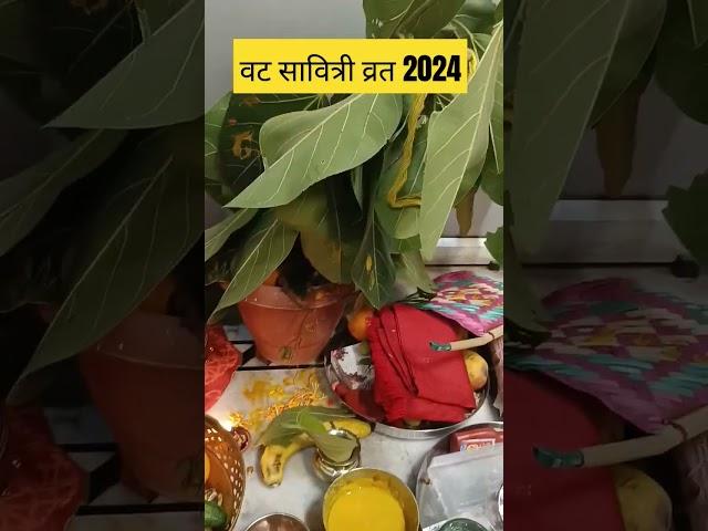 VAT Savitri Vrat Saral Puja Vidhi224#VAT Savitri Vrat 2024#Bima's way#Bima Singh #viral short#