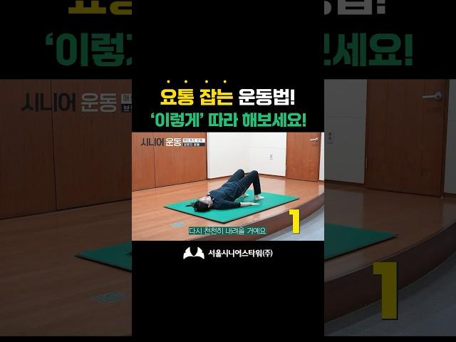 요통, 허리통증 잡는 초간단 운동법 #실버타운운동