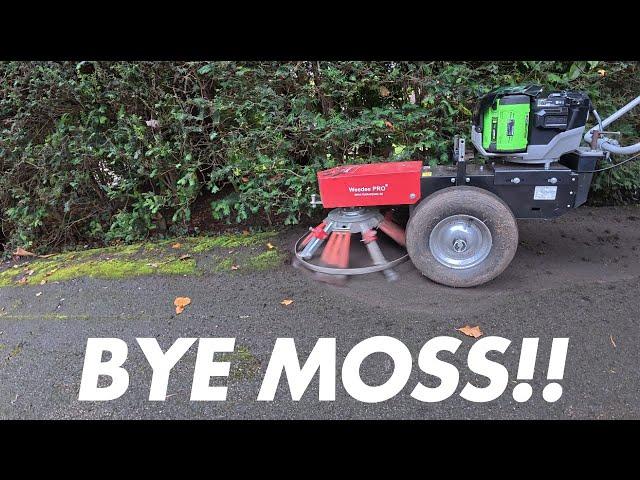 Say Goodbye to Moss Forever with the Terrazza Weedee PRO